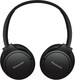 Миниатюра изображения товара Беспроводные наушники Panasonic RB-HF520BGEK