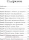 Миниатюра изображения товара Книга Попурри Турбостратегия (Трейси Б.)