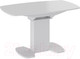 Миниатюра изображения товара Обеденный стол ТриЯ Портофино СМ(ТД)-105.02.11(1) (белый глянец/стекло белое)