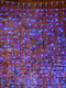 Миниатюра изображения товара Световой занавес Neon-Night Светодиодный Дождь 235-153-6