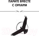 Миниатюра изображения товара Книга Попурри Парите вместе с орлами (Ньюмен Б.)