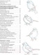 Миниатюра изображения товара Книга Попурри Как рисовать птиц (Лоуз Д.)
