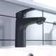 Миниатюра изображения товара Смеситель IDDIS Ray RAYBL00I01