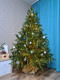 Миниатюра изображения товара Ель искусственная Царь елка Сапфир / СФ-185