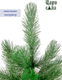 Миниатюра изображения товара Сосна искусственная Царь елка Триумфальная 180 / ТМ-180