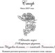 Миниатюра изображения товара Книга Эксмо Семь сестер. Сестра тени / 9785041136260 (Райли Л.)