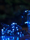 Миниатюра изображения товара Светодиодная гирлянда Twinkle 014 (10м, синий)