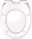 Миниатюра изображения товара Сиденье для унитаза Berges Mita So / 018003 (с микролифтом)