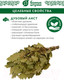 Миниатюра изображения товара Банный веник Банные Штучки 32705
