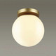 Миниатюра изображения товара Светильник уличный Odeon Light Bosco 4247/1C