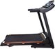 Миниатюра изображения товара Электрическая беговая дорожка Royal Fitness RF-6