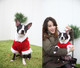 Миниатюра изображения товара Куртка для животных Puppia Santa / PDDF-SC23-RD-4L (красный)