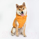 Миниатюра изображения товара Жилетка для животных Puppia Ultra Light Vest A / PAPD-JM1670-MS-XL (оранжевый)