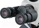 Миниатюра изображения товара Микроскоп оптический Levenhuk MED 45T / 74009