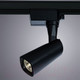 Миниатюра изображения товара Трековый светильник Arte Lamp Barut A4561PL-1BK