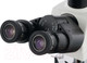 Миниатюра изображения товара Микроскоп цифровой Levenhuk MED D40T LCD / 74006