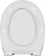 Миниатюра изображения товара Сиденье для унитаза Roca Victoria Nord ZRU9302919 (с микролифтом)