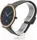 Миниатюра изображения товара Часы наручные мужские Skagen SKW6296