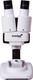 Миниатюра изображения товара Микроскоп оптический Levenhuk 1ST / 70404