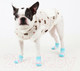 Миниатюра изображения товара Носочки для животных Puppia Polka Dot II / PAOC-SO1269-SB-S (голубой)
