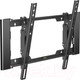 Миниатюра изображения товара Кронштейн для телевизора Holder T4925-B (черный)