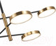Миниатюра изображения товара Люстра ST Luce Farone SL1605.413.06