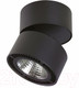 Миниатюра изображения товара Трековый светильник Lightstar Forte Muro A1T214817