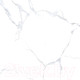 Миниатюра изображения товара Плитка Netto Alpine Carrara Polished (600x600)