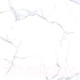 Миниатюра изображения товара Плитка Netto Alpine Carrara Polished (600x600)