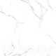 Миниатюра изображения товара Плитка Netto Alpine Carrara Polished (600x600)