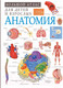 Миниатюра изображения товара Энциклопедия АСТ Анатомия (Спектор А.)
