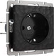 Миниатюра изображения товара Розетка Werkel W1271008 / a052049 (черный)