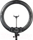 Миниатюра изображения товара Кольцевая лампа Falcon Eyes BeautyLight 480RC LED / 27944