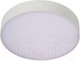 Миниатюра изображения товара Потолочный светильник Aployt Evon APL.0113.09.18