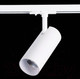 Миниатюра изображения товара Трековый светильник ST Luce Mono ST350.536.20.36
