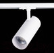 Миниатюра изображения товара Трековый светильник ST Luce Mono ST350.536.30.36