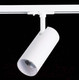 Миниатюра изображения товара Трековый светильник ST Luce Mono ST350.546.20.36