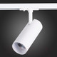 Миниатюра изображения товара Трековый светильник ST Luce Mono ST350.546.20.36
