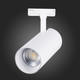 Миниатюра изображения товара Трековый светильник ST Luce Mono ST350.546.30.36