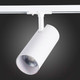 Миниатюра изображения товара Трековый светильник ST Luce Mono ST350.546.30.36