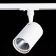 Миниатюра изображения товара Трековый светильник ST Luce Cami ST351.536.15.36