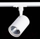 Миниатюра изображения товара Трековый светильник ST Luce Cami ST351.536.20.36