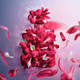 Миниатюра изображения товара Парфюмерная вода Lancome La Vie Est Belle Intensement (30мл)