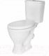 Миниатюра изображения товара Унитаз напольный Sanita Формат Эконом FRTSACC01090113