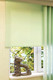 Миниатюра изображения товара Рулонная штора Эскар 48x170 / 310170481701 (светло-зеленый)