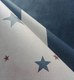 Миниатюра изображения товара Бумажные обои Белобои Техас С25-МО к-82 (дуплекс)