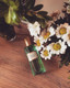Миниатюра изображения товара Парфюмерная вода Gucci Memoire d'une Odeur (100мл)