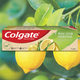 Миниатюра изображения товара Зубная паста Colgate Освежающая чистота с Маслом Лимона (75мл)