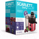 Миниатюра изображения товара Соковыжималка электрическая Scarlett SC-JE50S19 (красный)