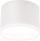 Миниатюра изображения товара Точечный светильник Ambrella TN339 SWH (белый песок)